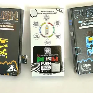 Push Disposables Vape 2ml with package box（EMPTY）～Customized and Wholesale